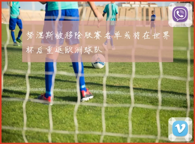 努涅斯被移除联赛名单或将在世界杯后重返欧洲球队