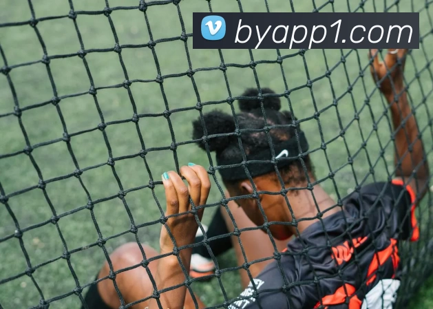 App Interface Preview